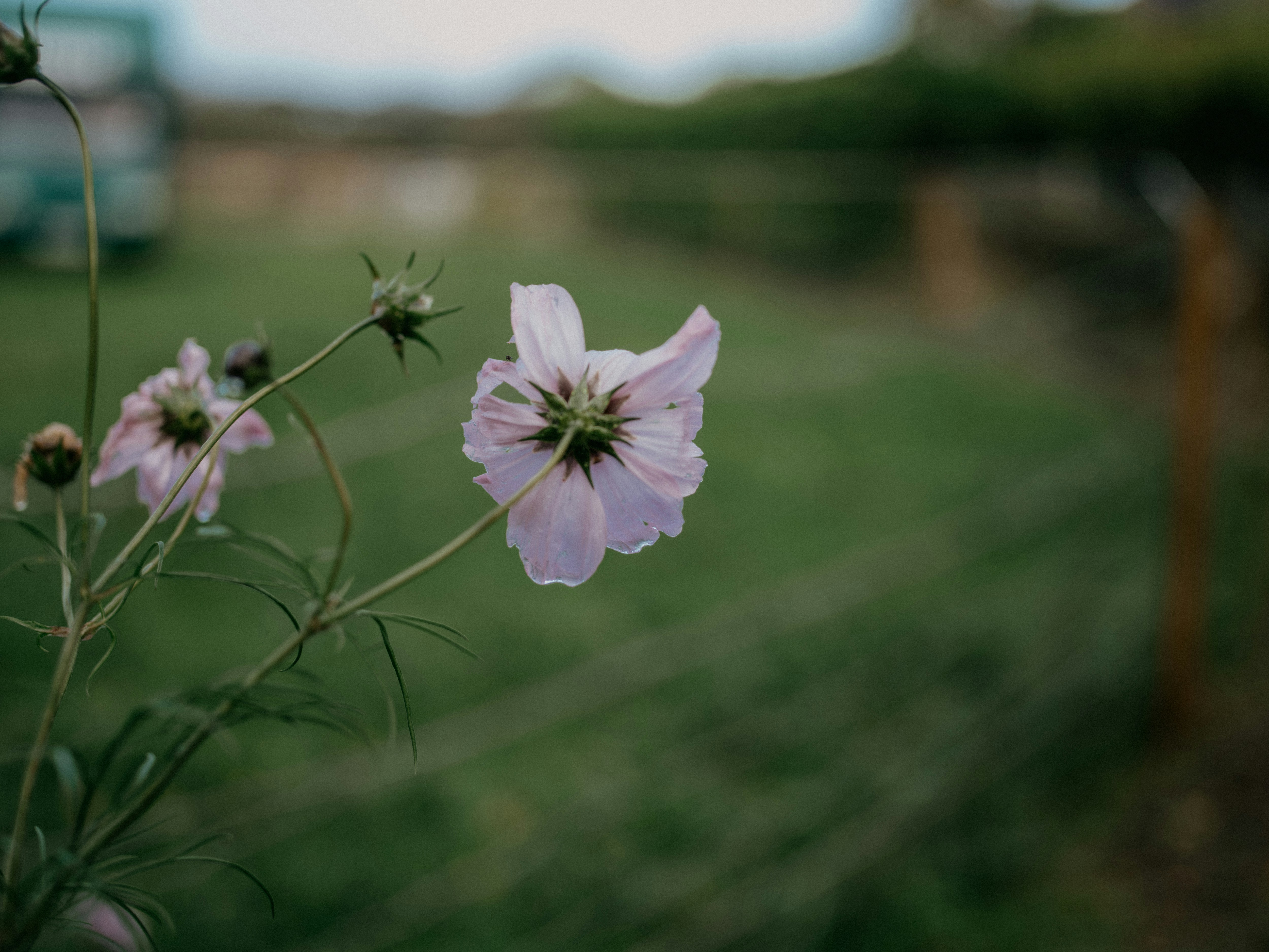 Photo by anniespratt