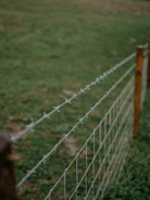 A freshly installed galvanized farm fence surrounding a lush green agricultural field in Saudi Arabia
