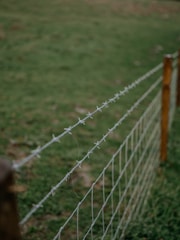 A barbed wire fence stretches across a grassy field, with wooden posts supporting the wire at intervals. The grass appears lush and green, creating a contrast with the rough texture of the metallic fence.