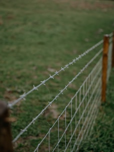 A barbed wire fence stretches across a grassy field, with wooden posts supporting the wire at intervals. The grass appears lush and green, creating a contrast with the rough texture of the metallic fence.