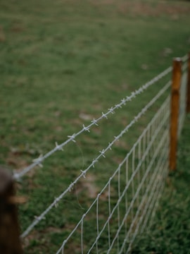 A freshly installed galvanized farm fence surrounding a lush green agricultural field in Saudi Arabia