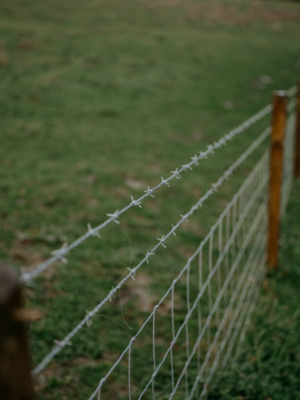 a close up of a wire fence in a field