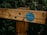 A wooden fence post features a circular green sign with text indicating 'Green Way' and mentions 'spaces for people and wildlife.' It is secured with small nails and depicted against a backdrop of dense green foliage.
