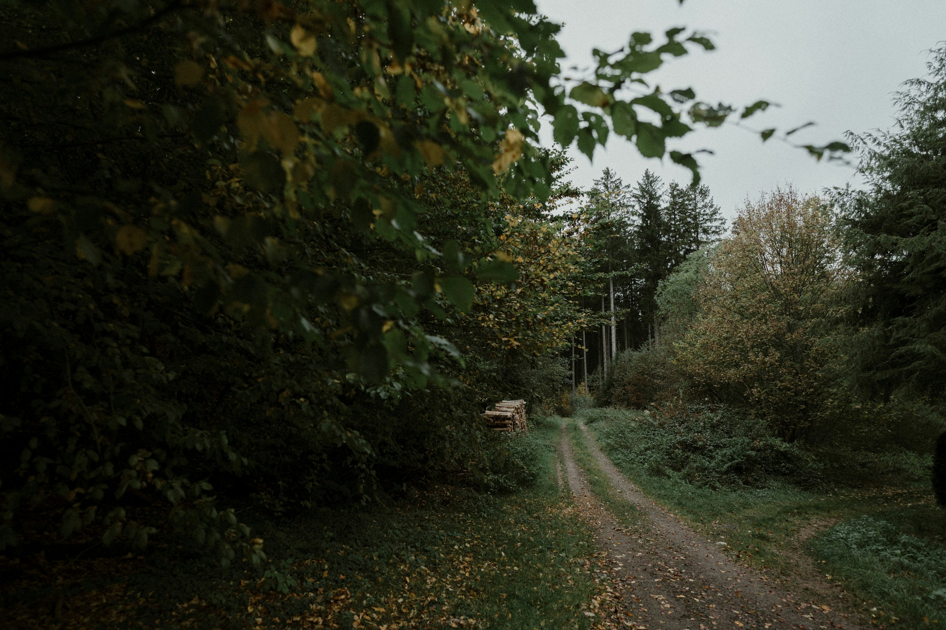 Photo by victoriavandenhoven