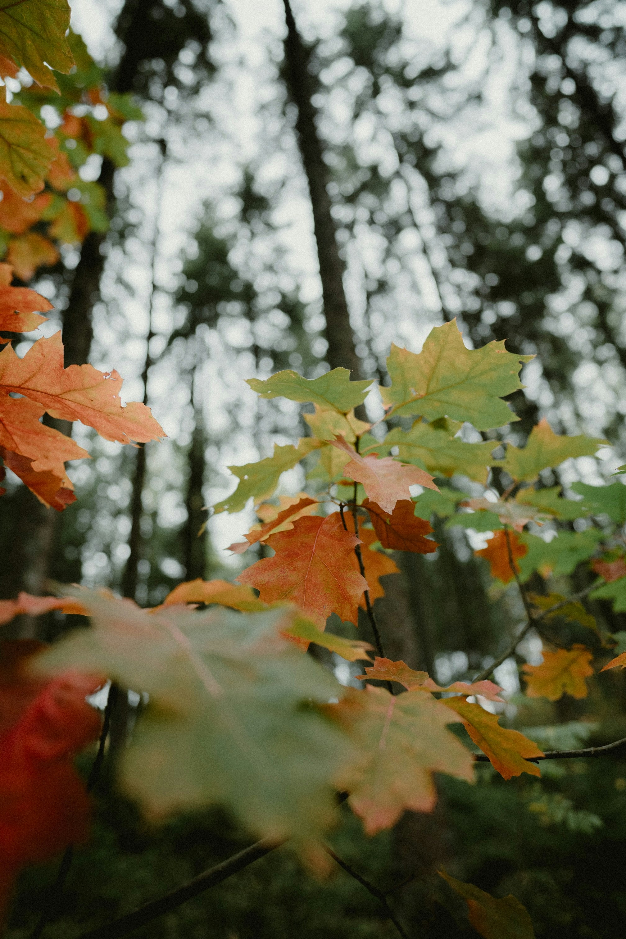 Photo by victoriavandenhoven