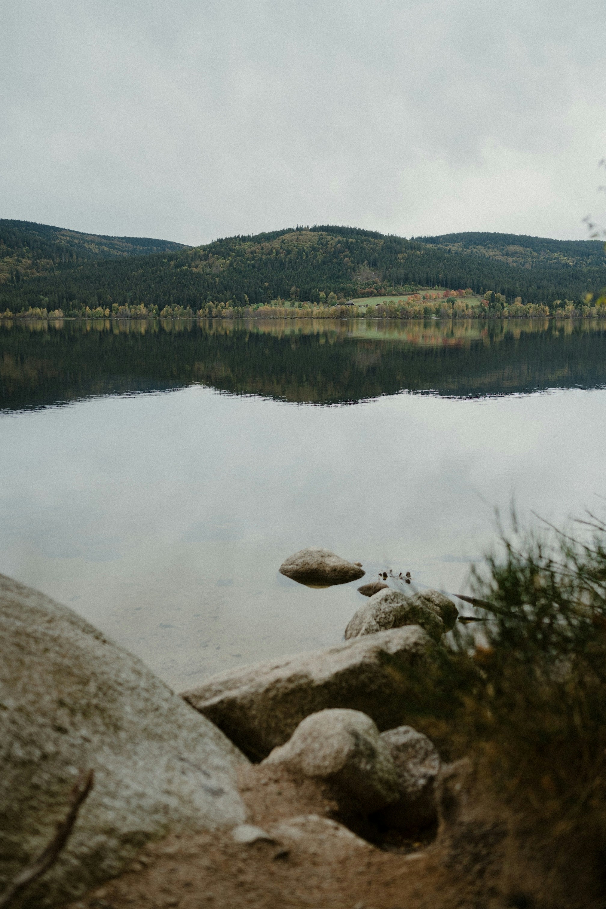 Photo by victoriavandenhoven