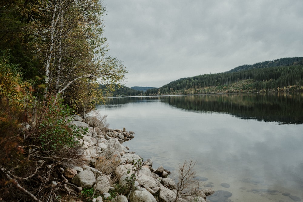 a body of water surrounded by trees and rocks