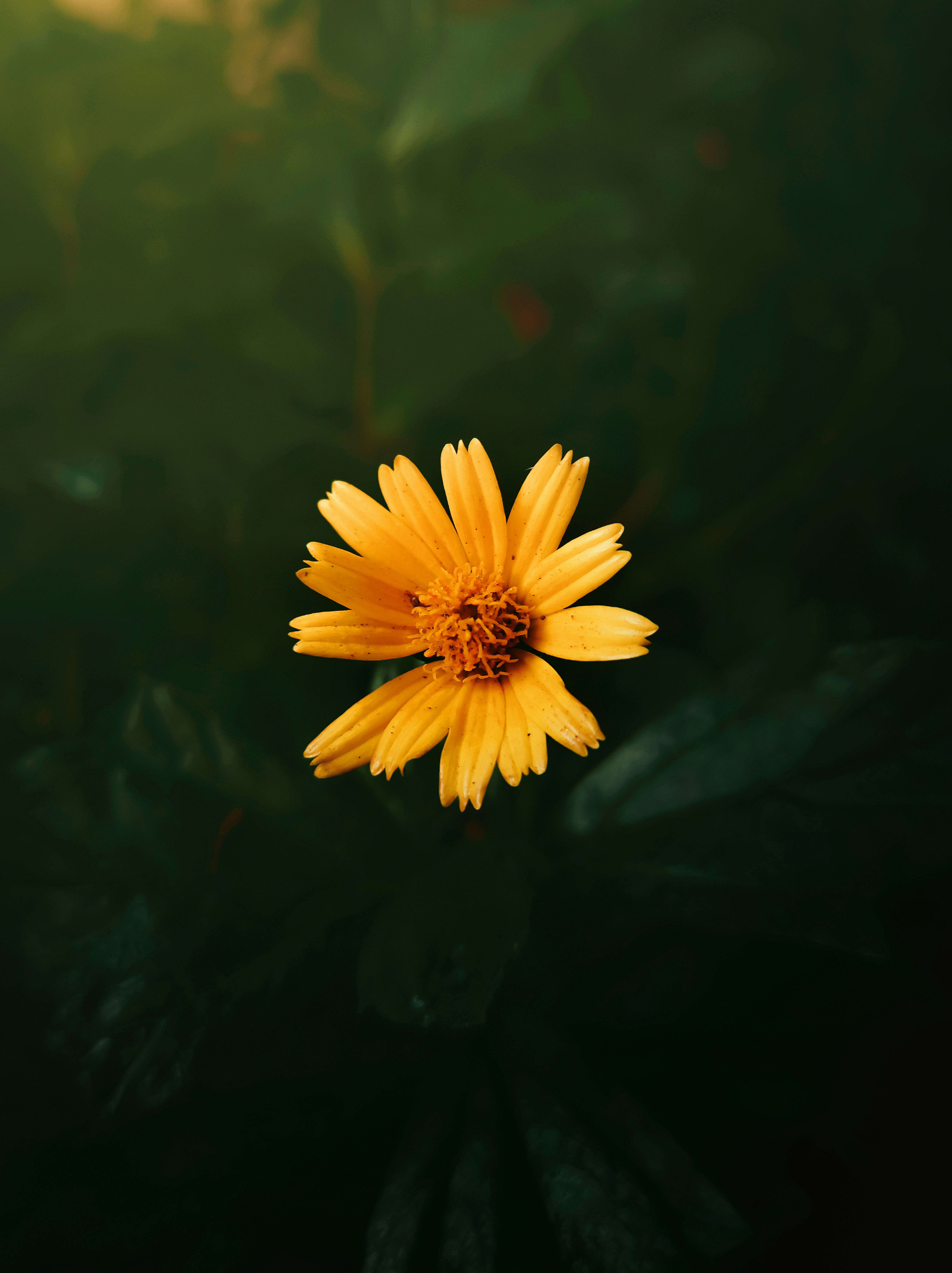 Photo by prithiviraj