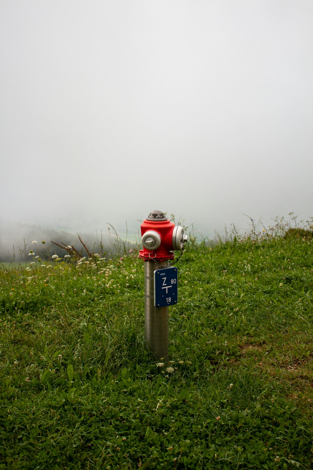 a red and silver fire hydrant sitting on top of a lush green field