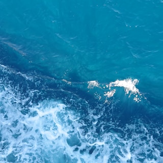 A vibrant ocean scene with deep blue waves gently crashing. Sunlight reflects off the water creating sparkles on the surface. The movement of the sea is visible, conveying a sense of motion and energy.