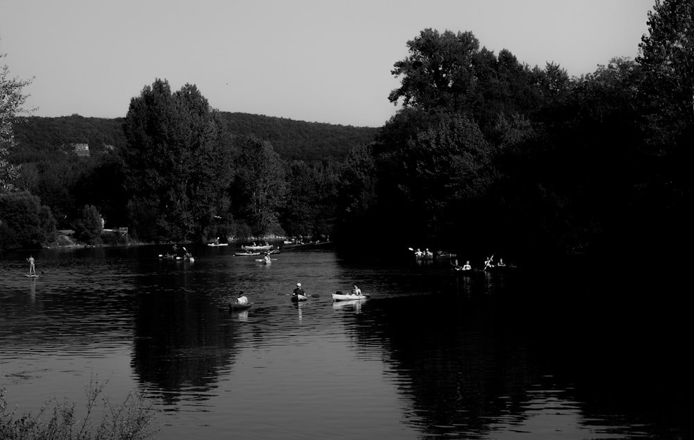 a black and white photo of ducks in a lake