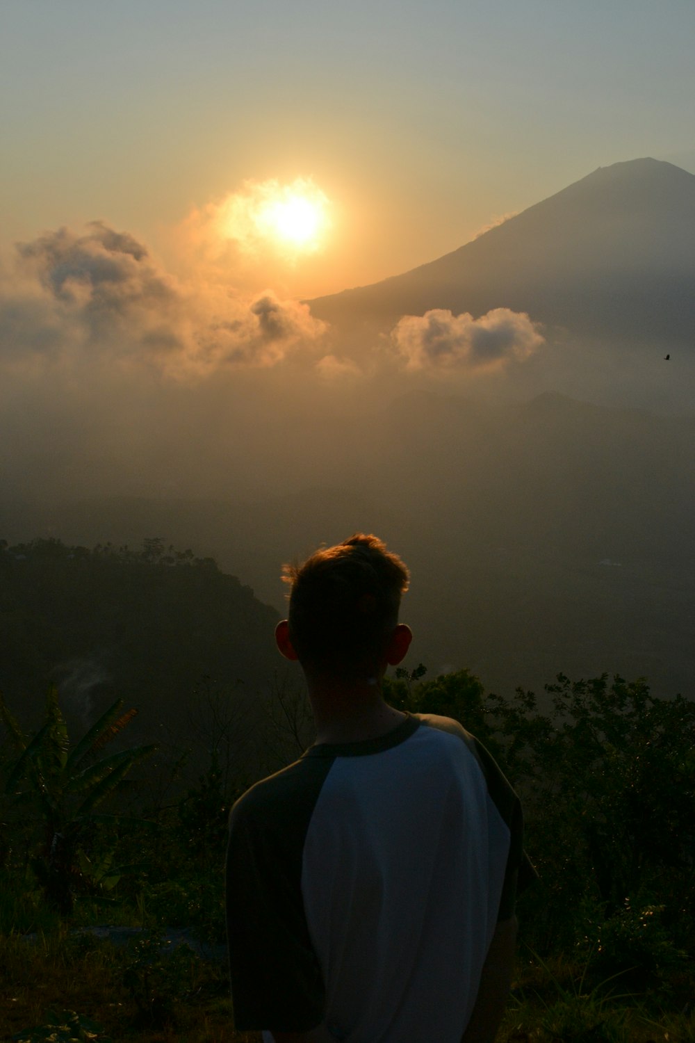 a man standing on top of a lush green hillside