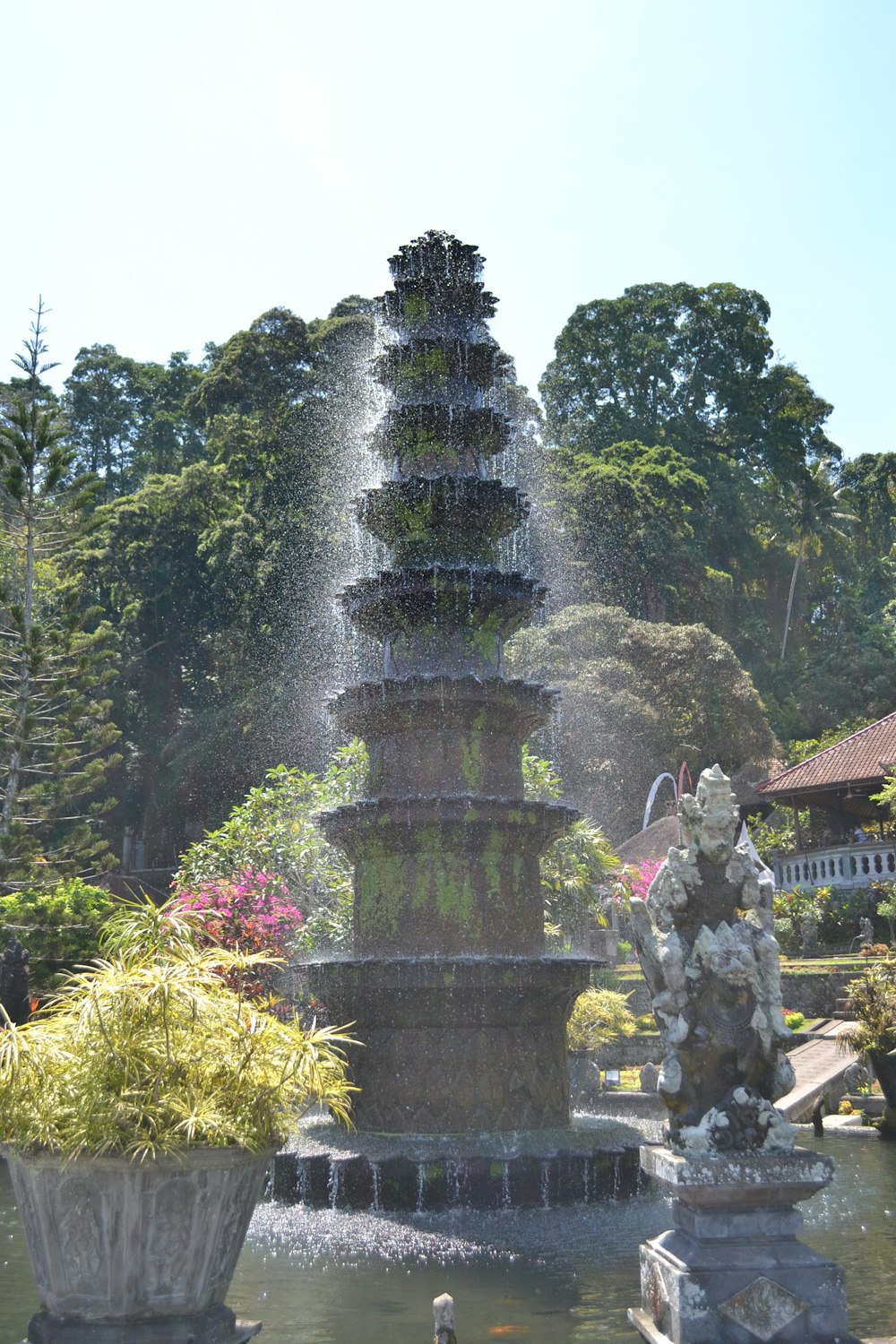 a water fountain surrounded by plants and trees
