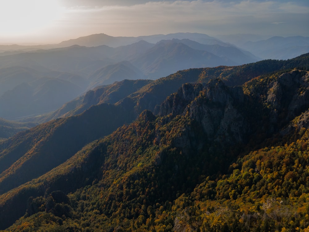 a scenic view of a mountain range with trees in the foreground