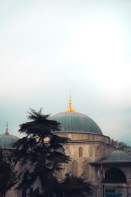 A mosque with a large, ornate dome topped with a gold finial, surrounded by trees. The dome and structure are made of stone with arched windows featuring lattice designs. Flags are visible near the entrance.