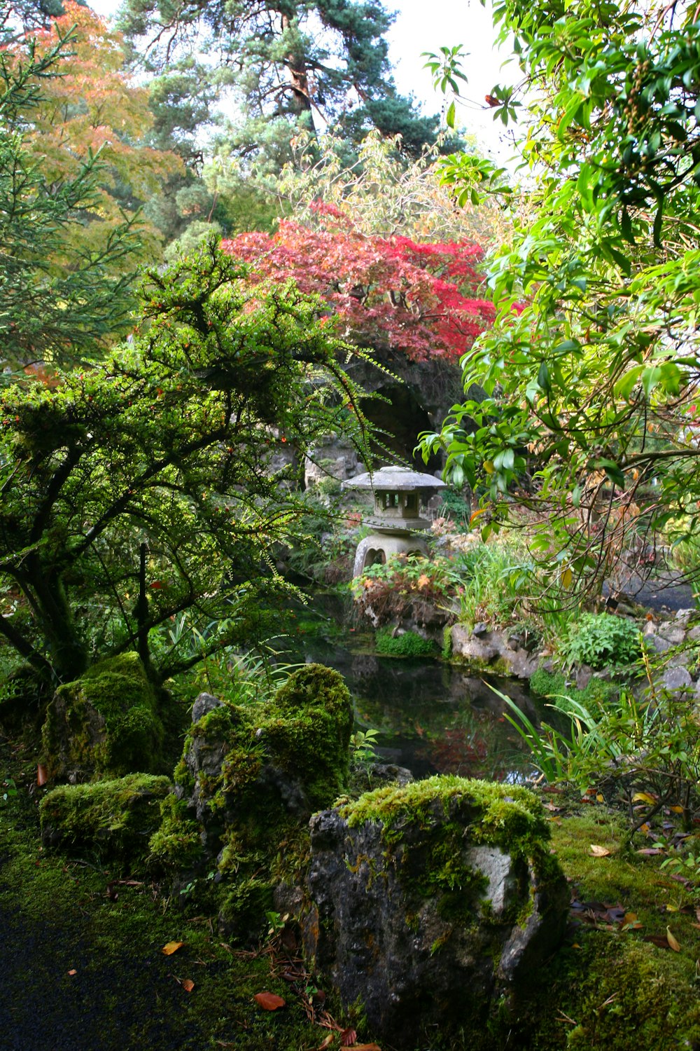 a small pond surrounded by trees and rocks