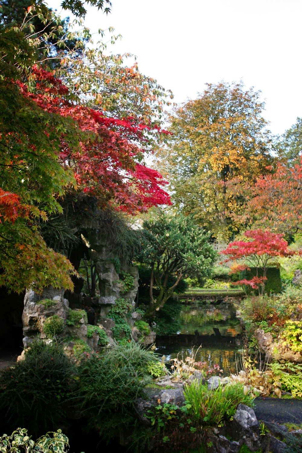 a garden with a pond surrounded by trees