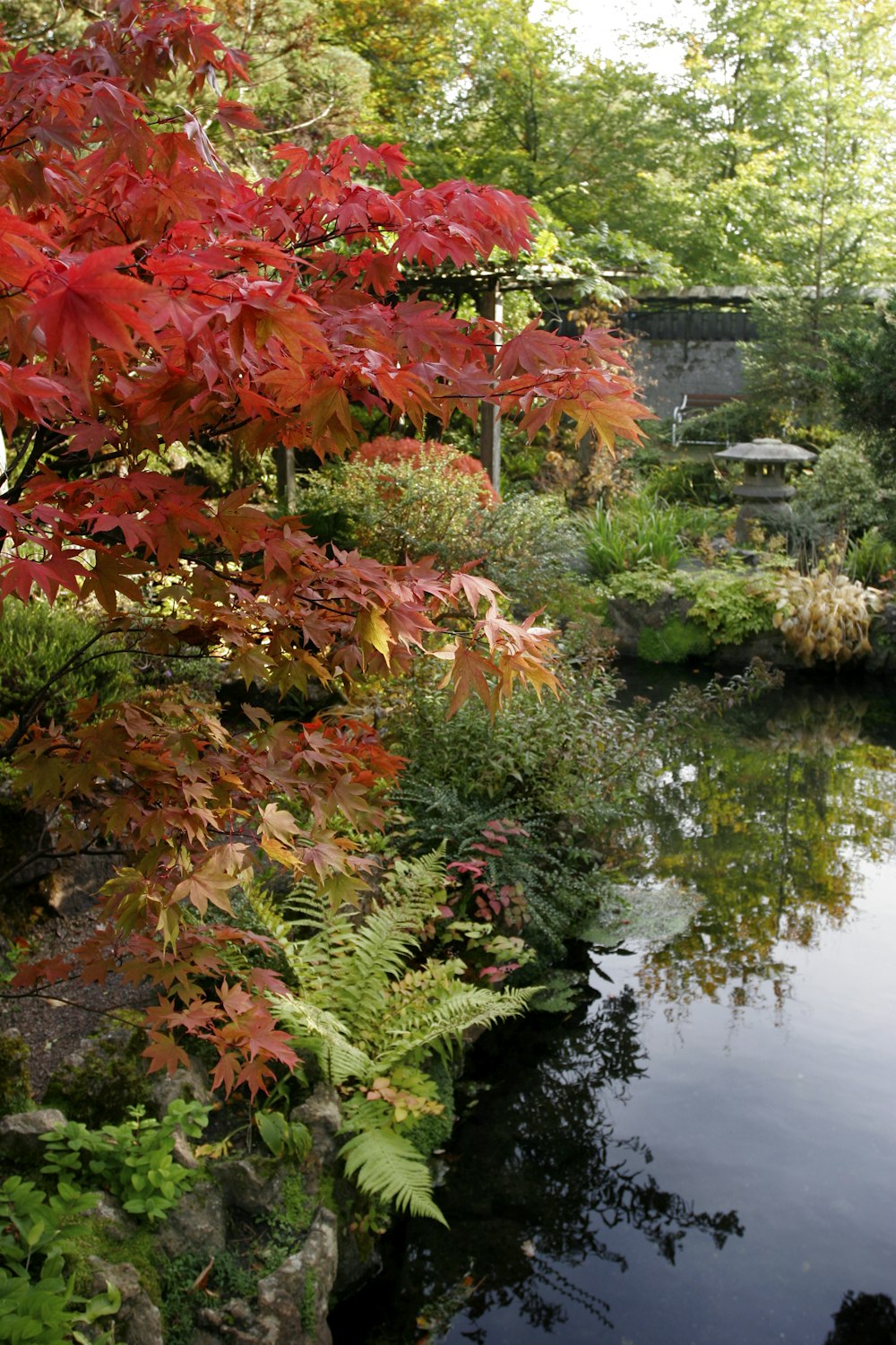 a small pond surrounded by trees and bushes