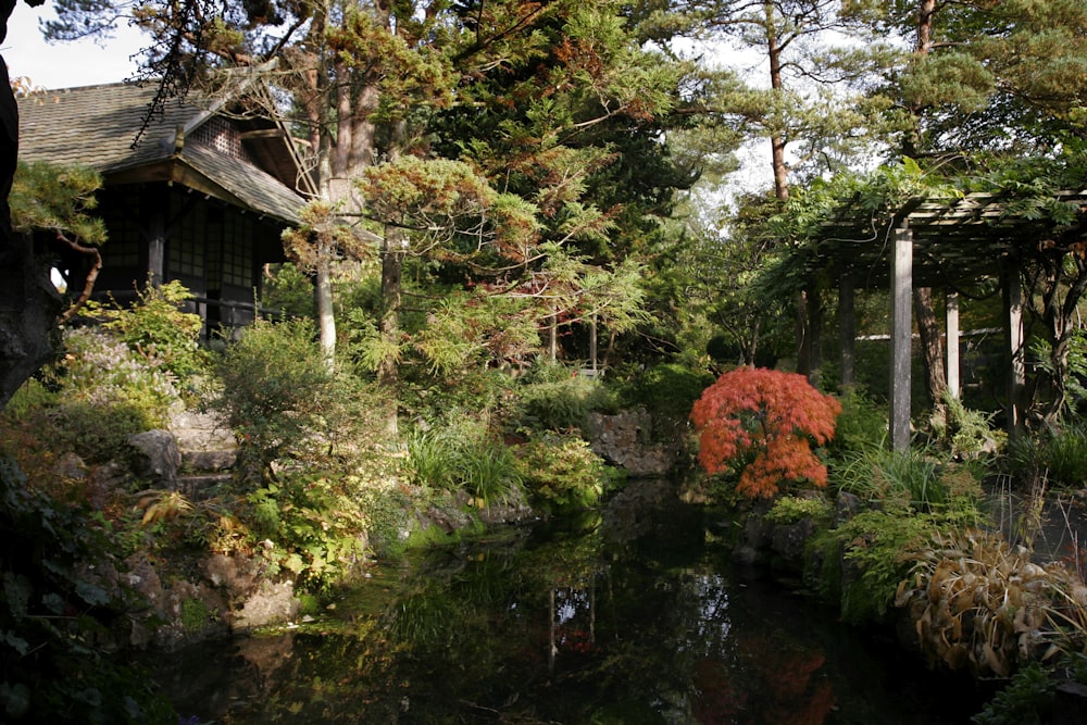 a pond surrounded by trees and a house