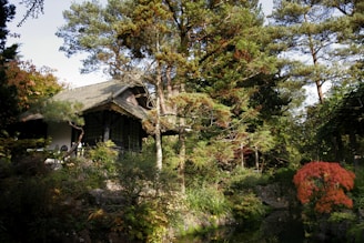 A tranquil Japanese-style garden featuring a traditional wooden house nestled among dense greenery. Tall trees surround the area, and a small pond is visible in the foreground. The foliage displays a mix of green and autumnal hues, creating a serene and harmonious atmosphere.