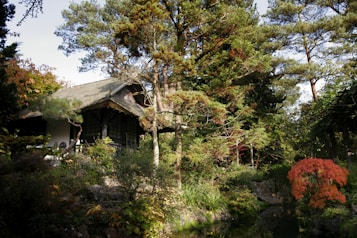 A tranquil Japanese-style garden featuring a traditional wooden house nestled among dense greenery. Tall trees surround the area, and a small pond is visible in the foreground. The foliage displays a mix of green and autumnal hues, creating a serene and harmonious atmosphere.