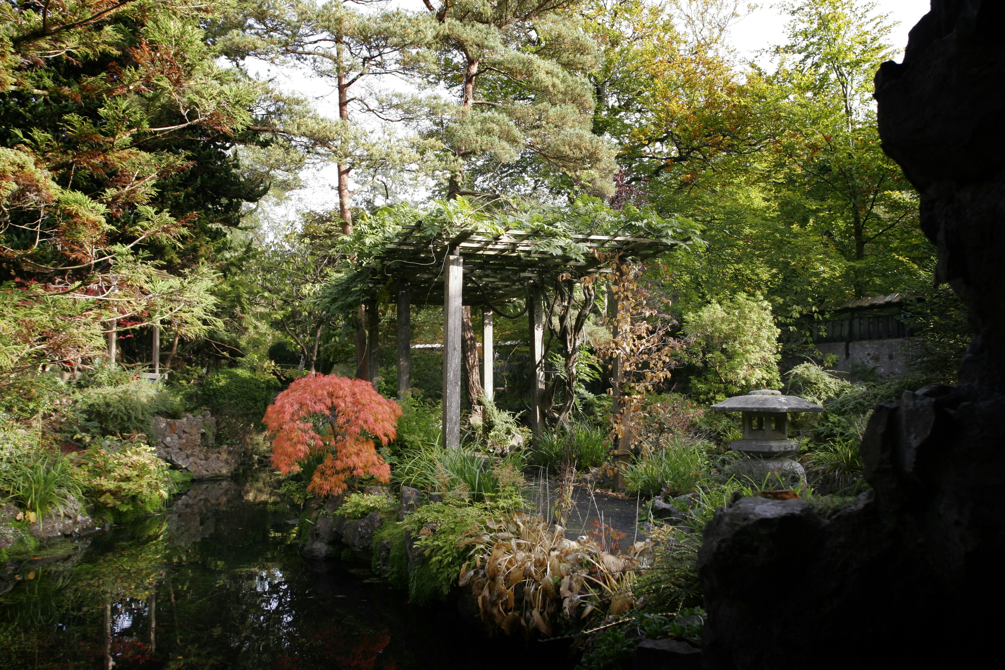 Photo by kiltimagh01