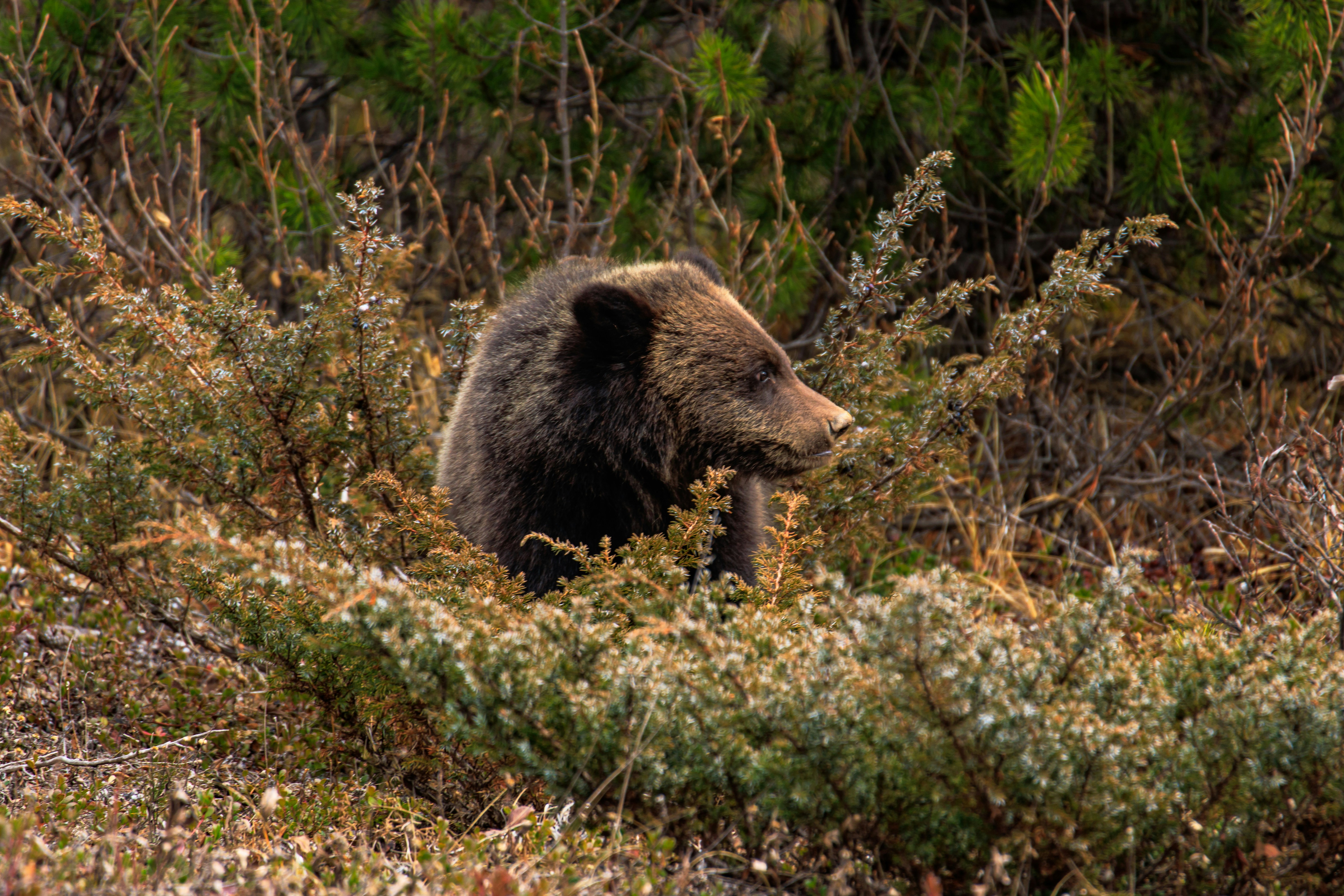 Photo by brice_cooper18