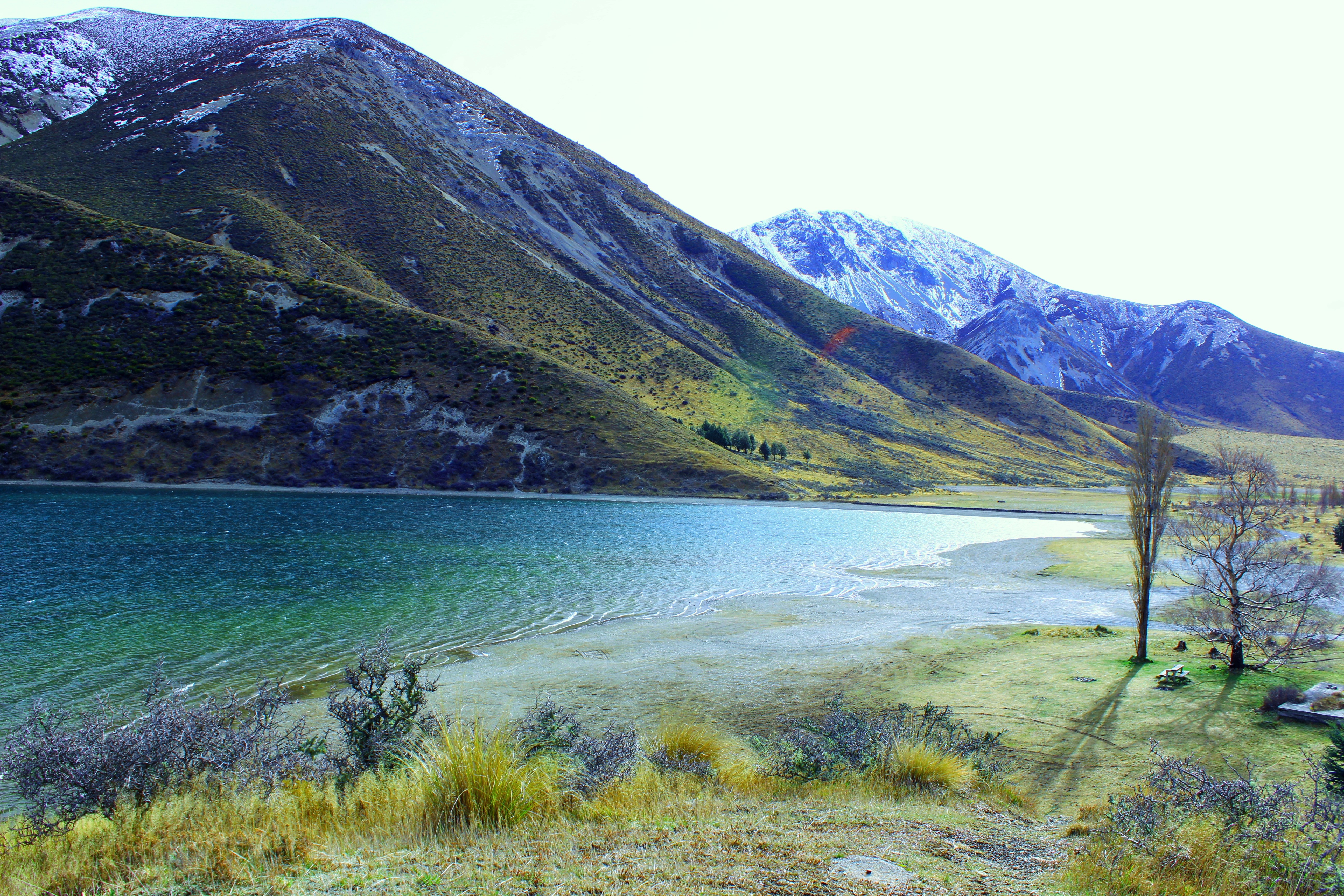 Photo by pedrosucupira