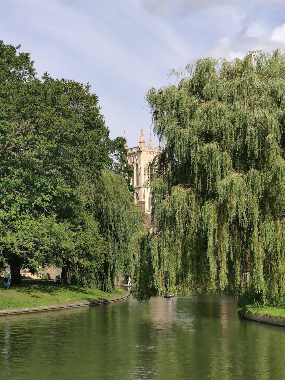 a river with trees and a building in the background