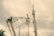A utility worker is elevated in a bucket truck, working on overhead electrical wires and equipment attached to a tall utility pole. The background displays overcast skies with a greyish hue. A construction crane and other utility poles are visible in the distance.