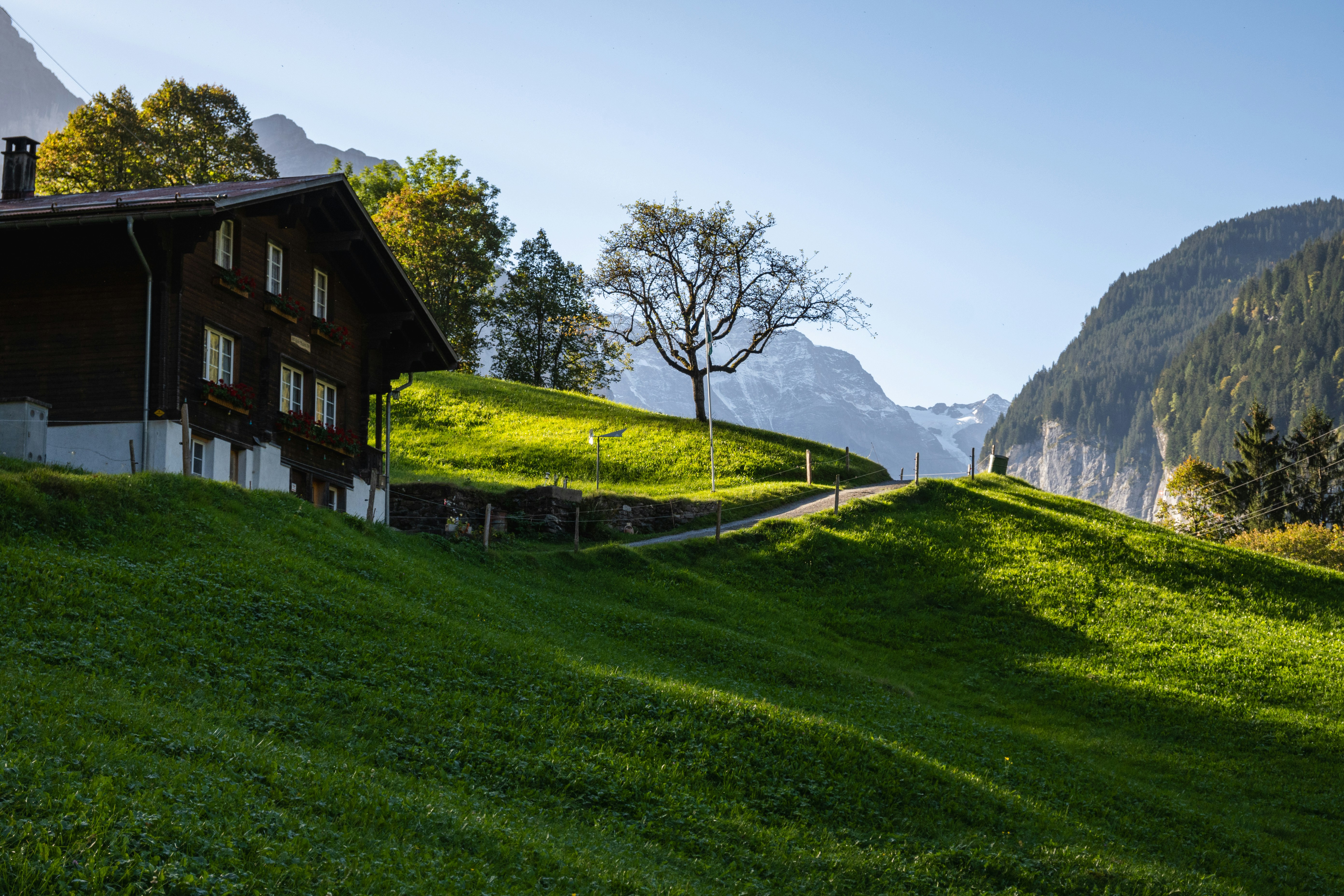 Photo by ashuba