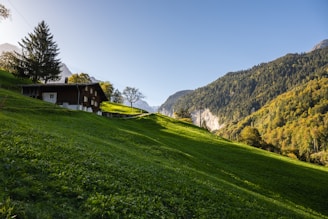 A serene countryside house surrounded by lush greenery under a clear blue sky.