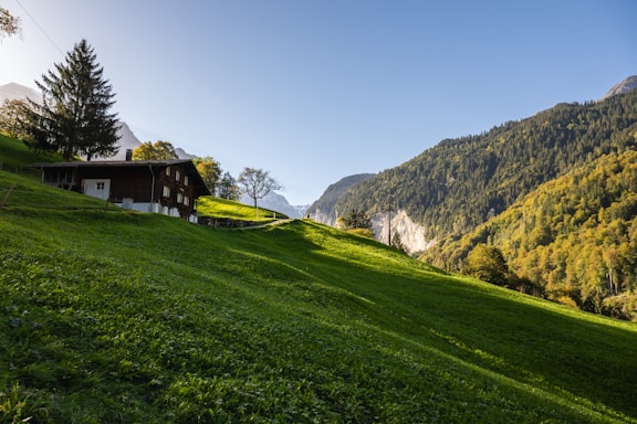 A serene countryside house surrounded by lush greenery under a clear blue sky.