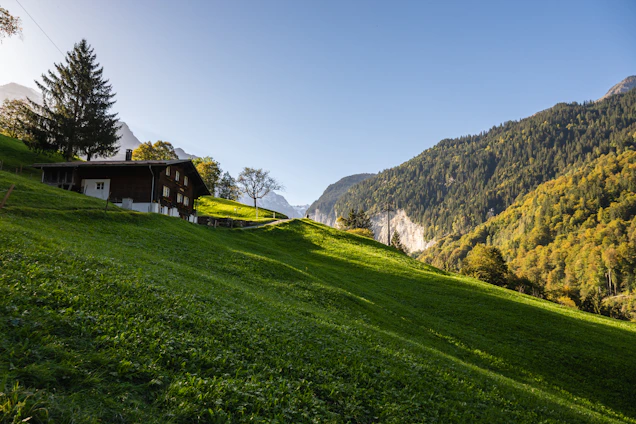 A serene mountain homestay with a rustic wooden porch overlooking lush green hills under a clear blue sky.