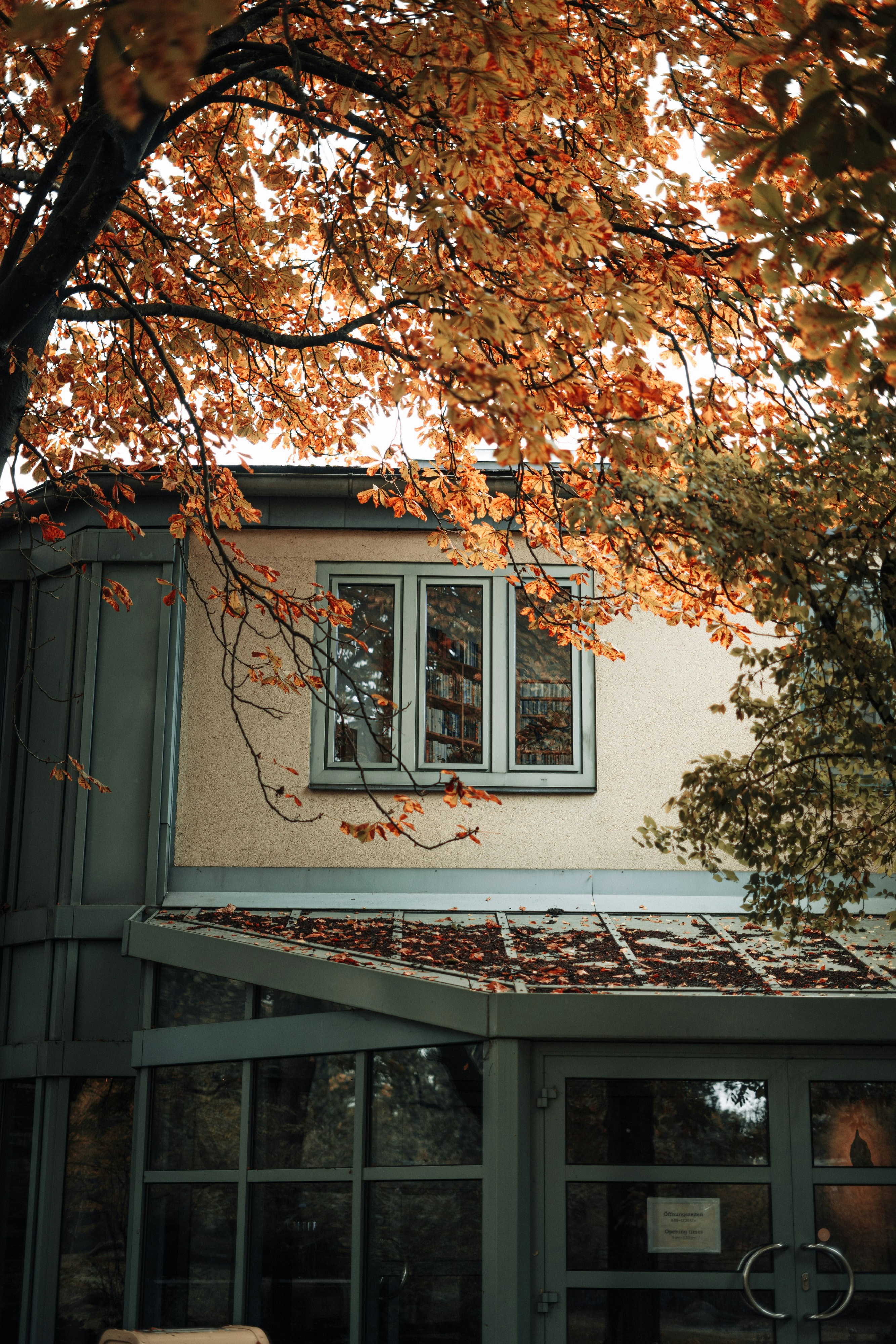 Photo by robert_lens