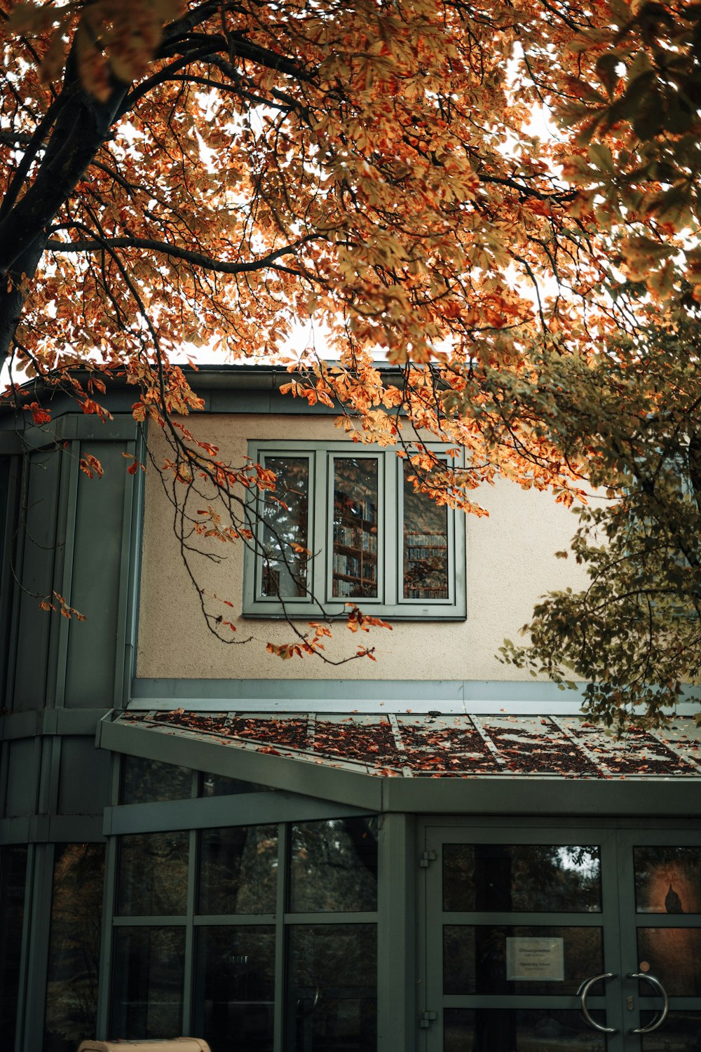 a house with a tree in front of it