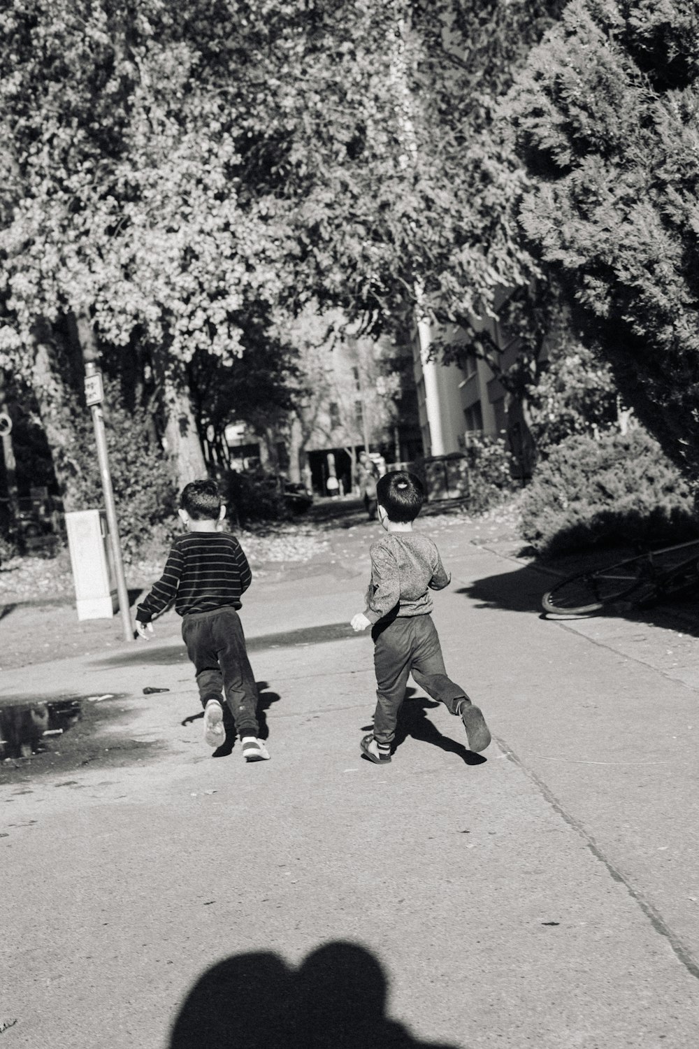 a couple of kids are playing with a frisbee