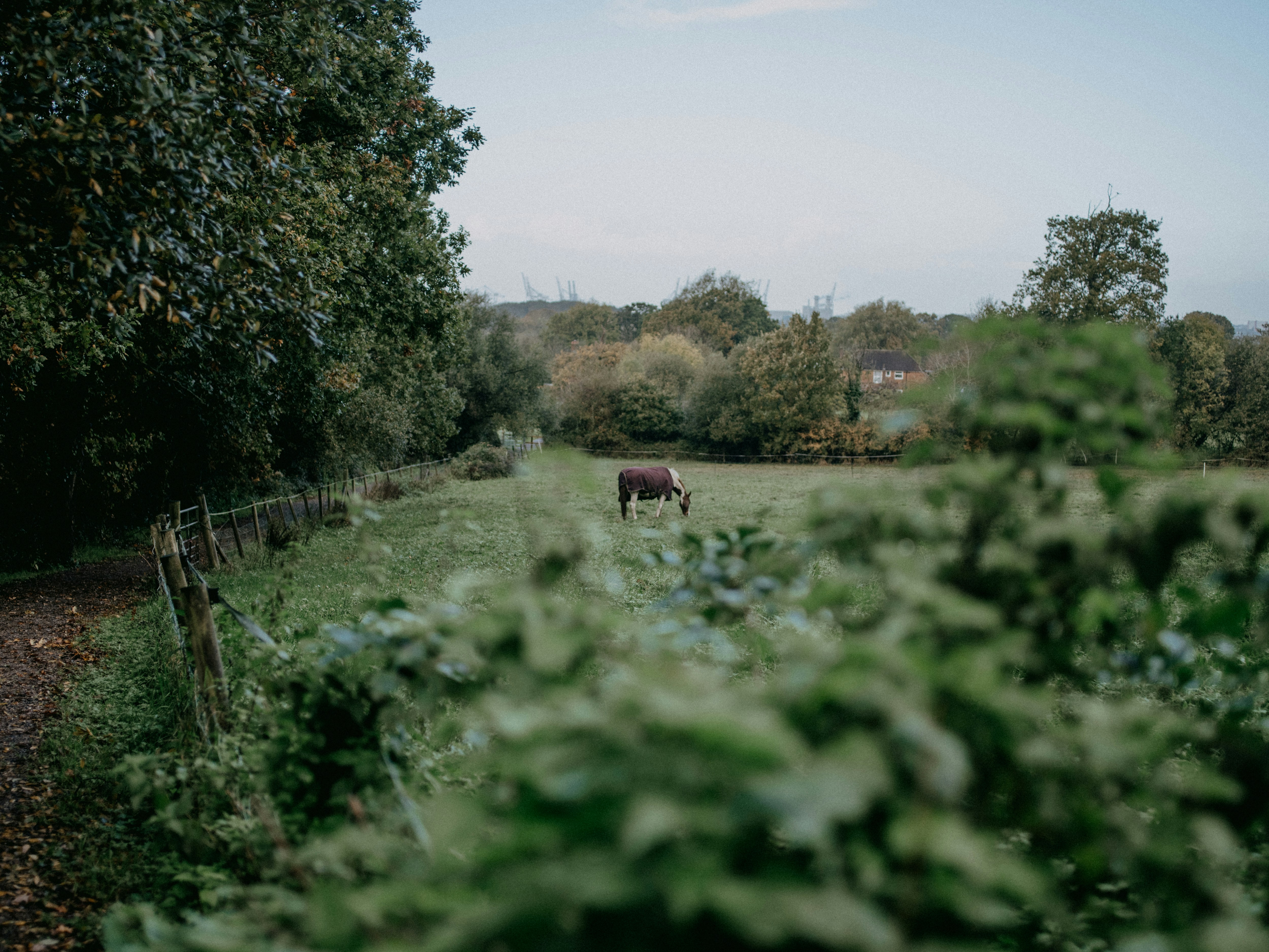 Photo by anniespratt