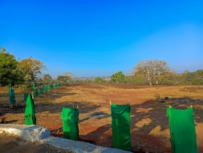 Volunteers planting saplings in a reclaimed village area under a clear sky.