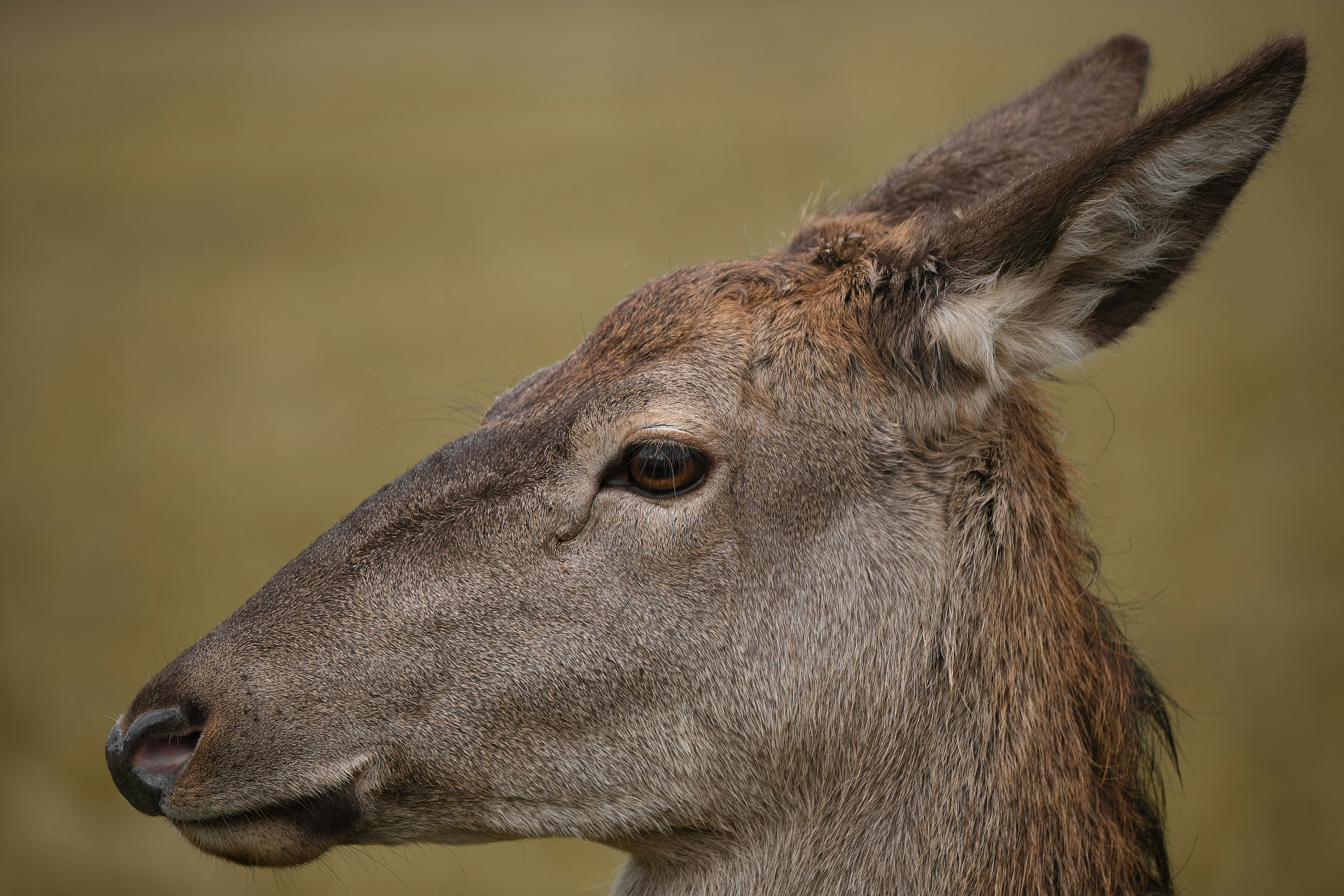 Photo by timschmidbauer