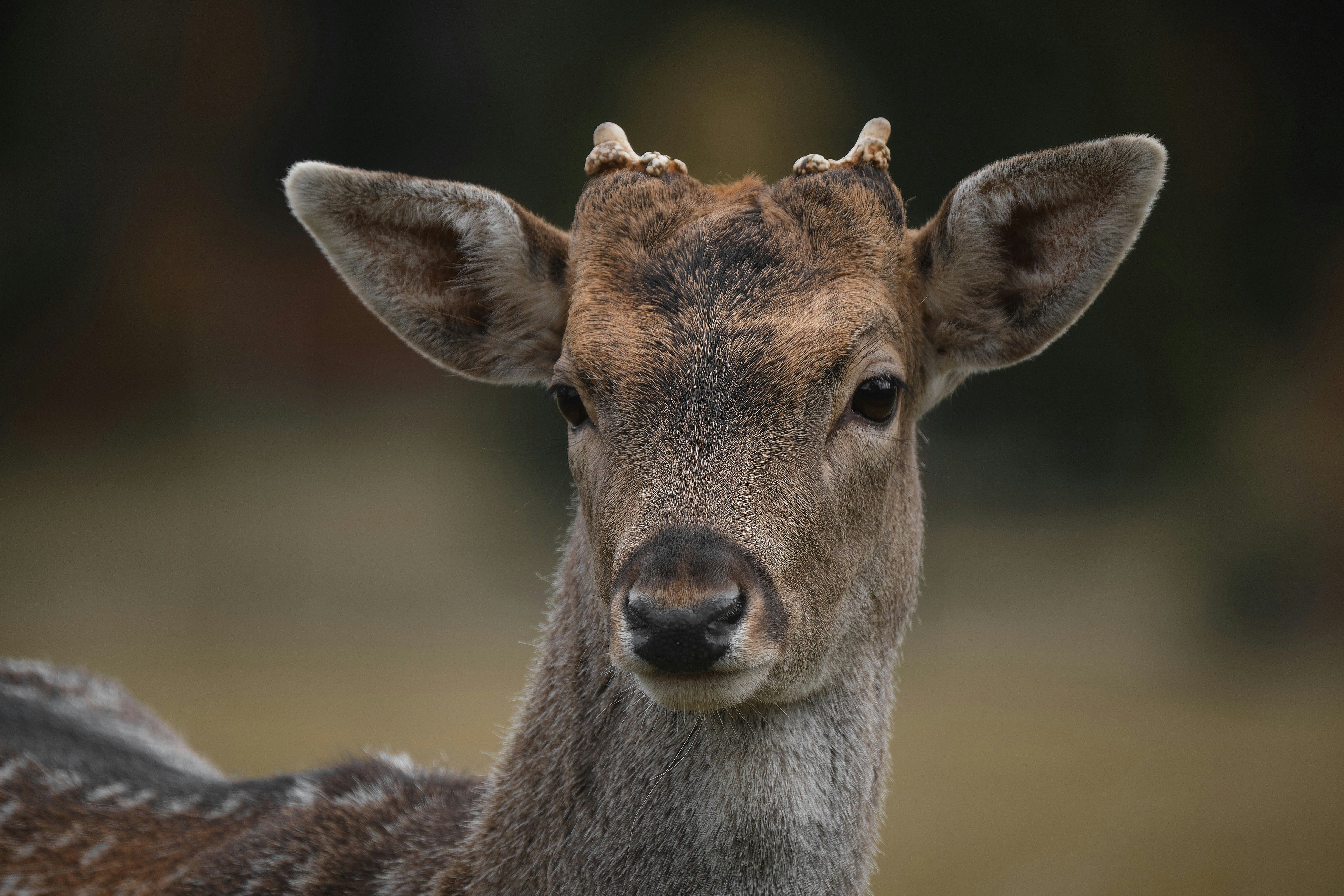 Photo by timschmidbauer