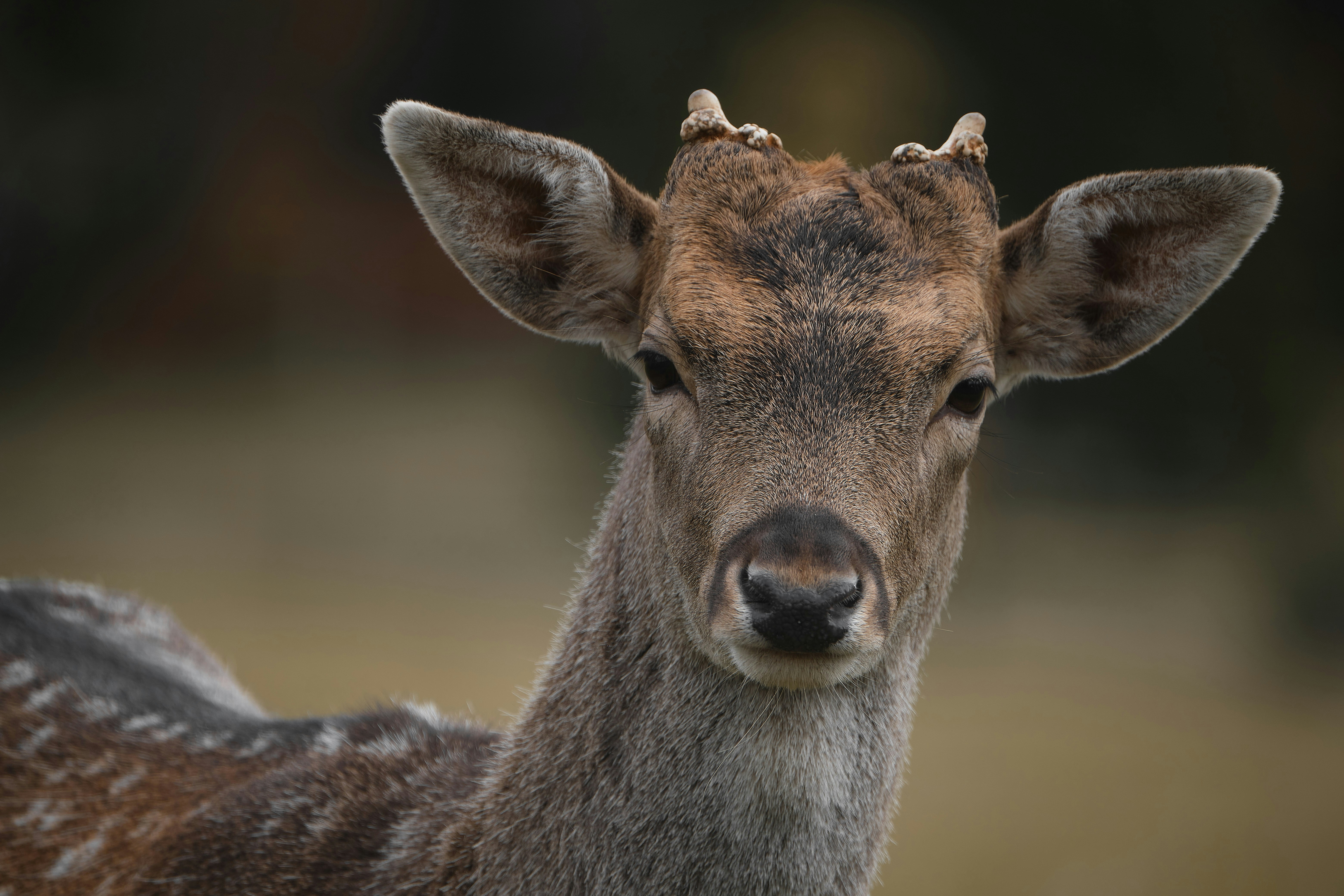 Photo by timschmidbauer