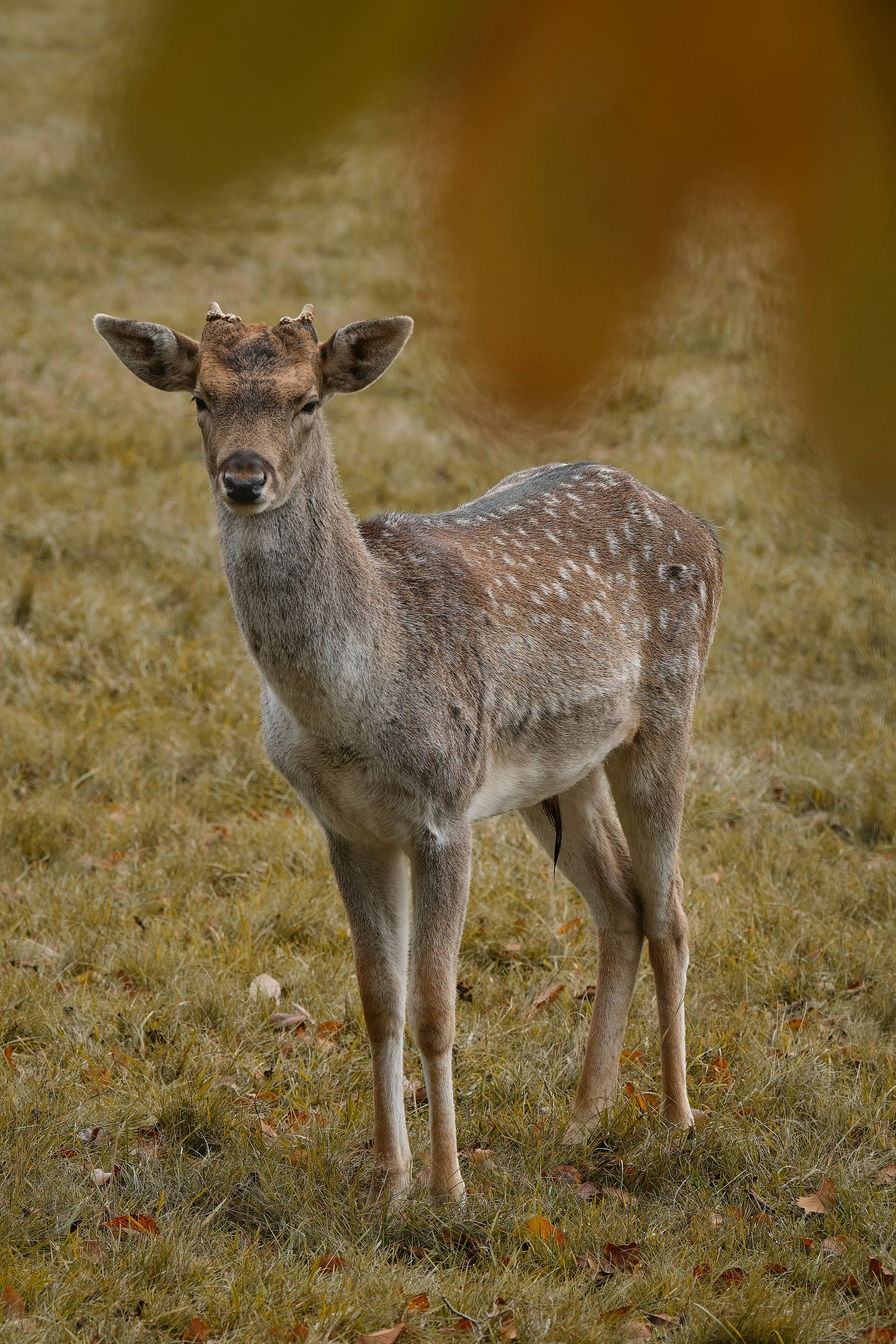 Photo by timschmidbauer