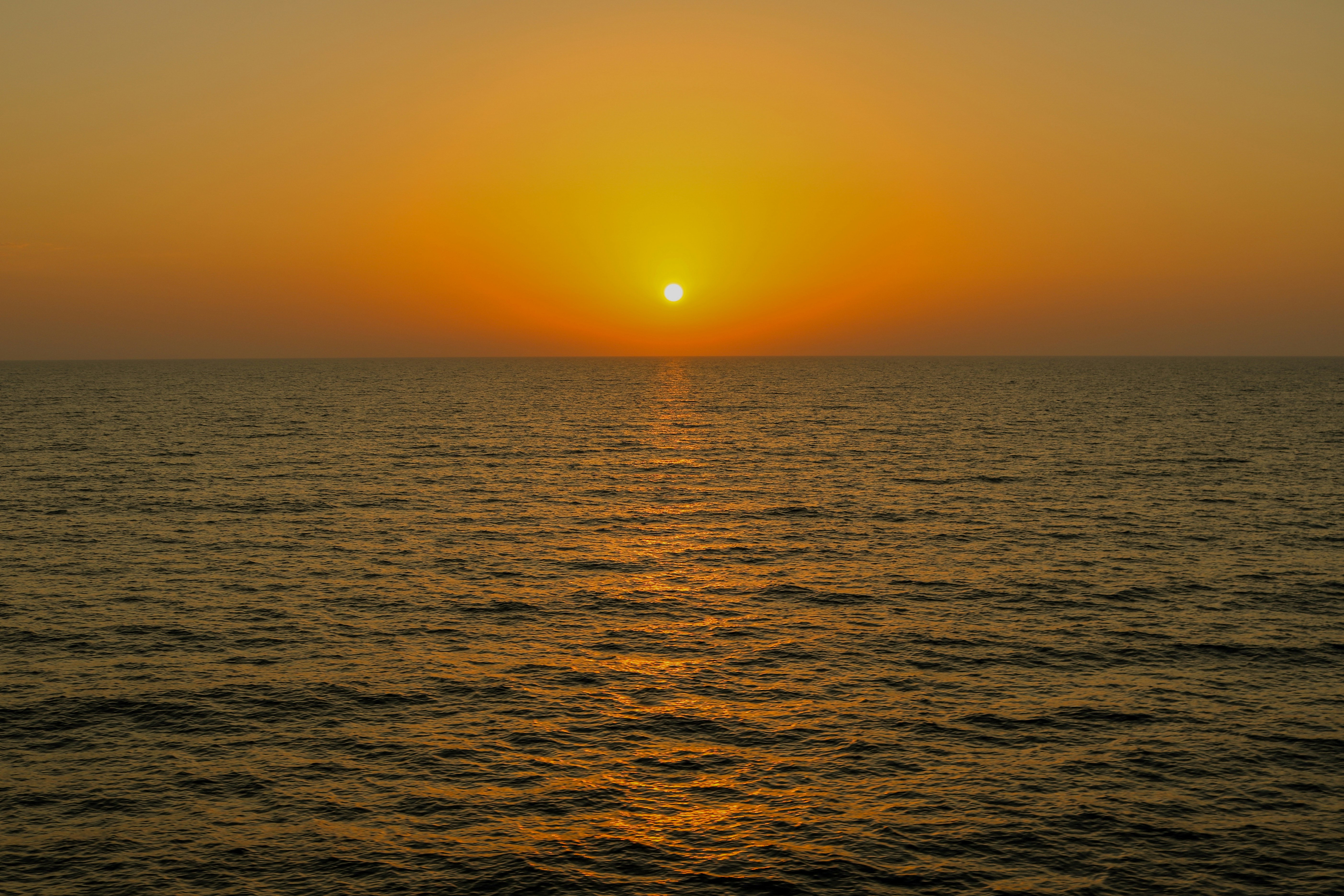 Photo by masoodaslami