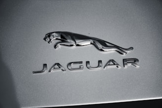 A silver chrome emblem of a leaping jaguar above the bold letters spelling 'JAGUAR' on a metallic gray background.