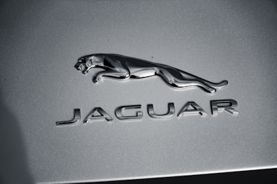 A silver chrome emblem of a leaping jaguar above the bold letters spelling 'JAGUAR' on a metallic gray background.