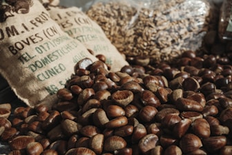 Clean, polished fox nuts displayed in bulk packaging for shipment