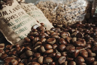 A pile of chestnuts is spread out, with some displayed in front of burlap sacks that have text printed on them. The background includes clear plastic bags filled with walnuts or similar nuts, suggesting a market or farm setting.