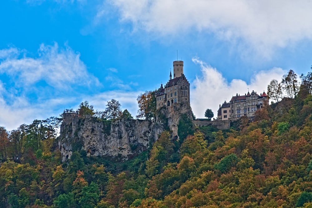 a castle on a hill surrounded by trees