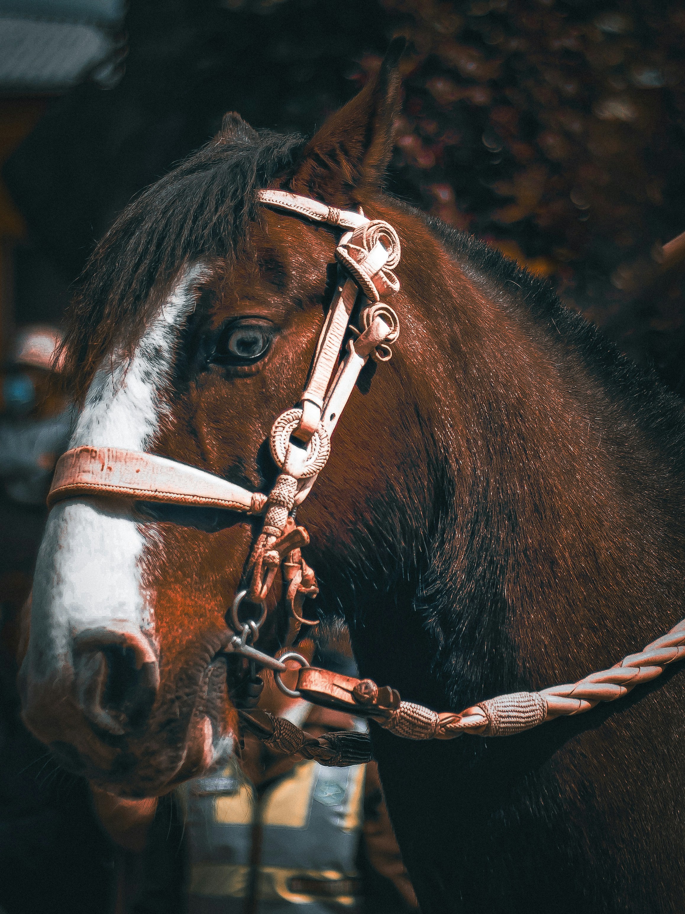 Photo by juliocesar90